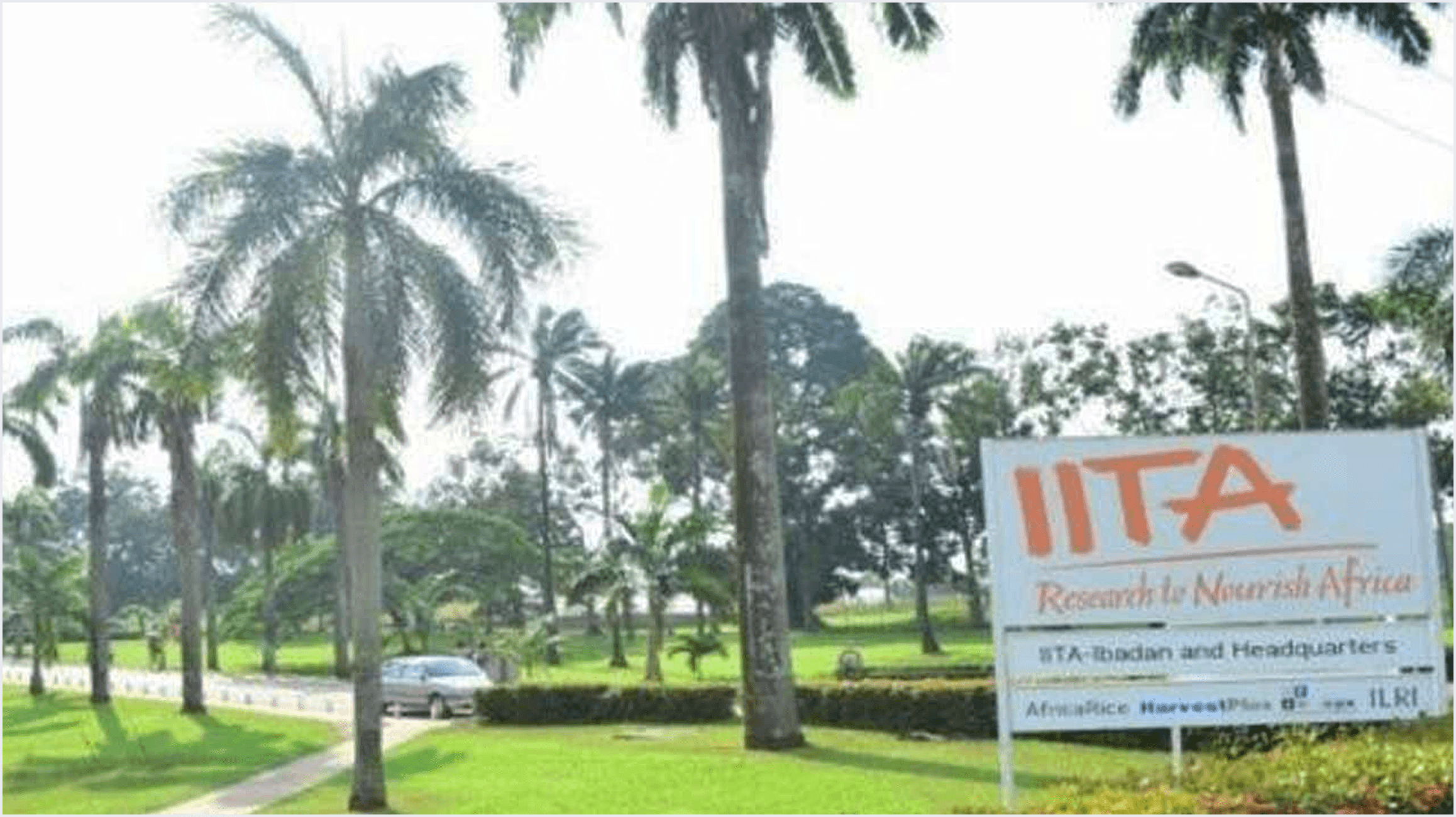 IITA field deployment