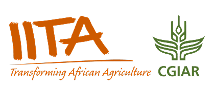 IITA